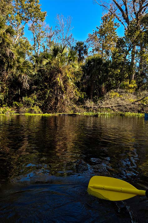 A very Potter Thanksgiving paddling