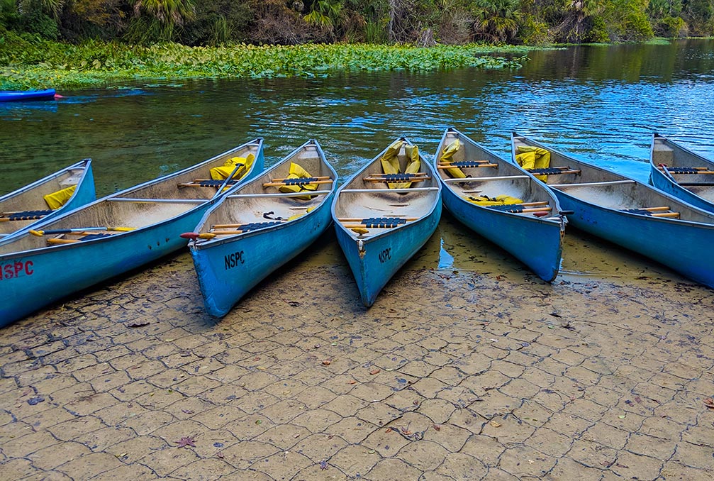 A very Potter Thanksgiving Wekiwa Springs Kayak line up