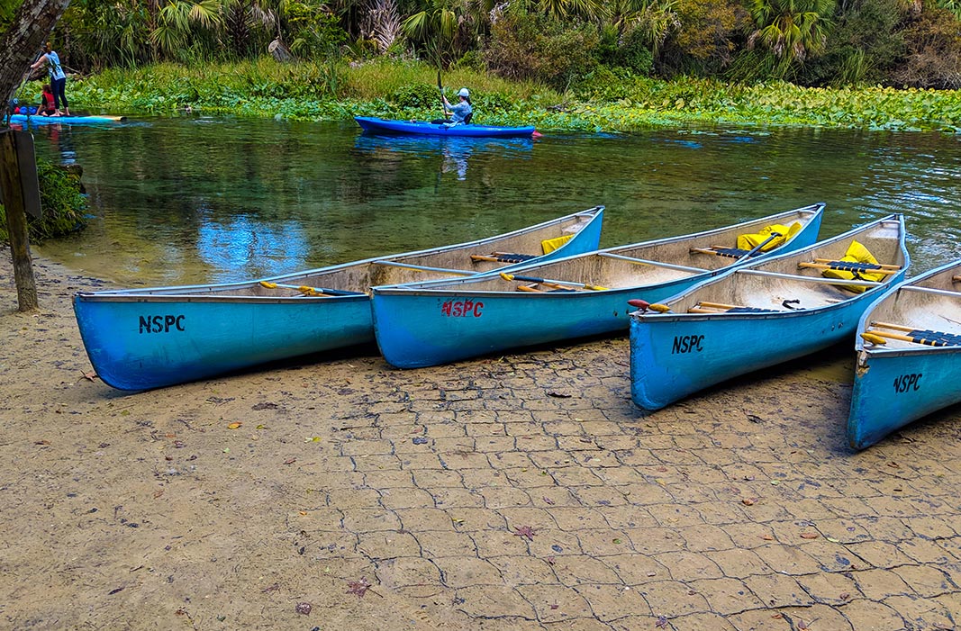 A very Potter Thanksgiving Wekiwa Springs blue kayaks