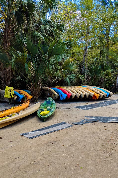 A very Potter Thanksgiving Wekiwa Springs Canoes