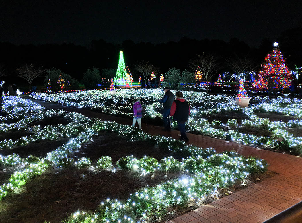 Botanical gardens Christmas lights landscape