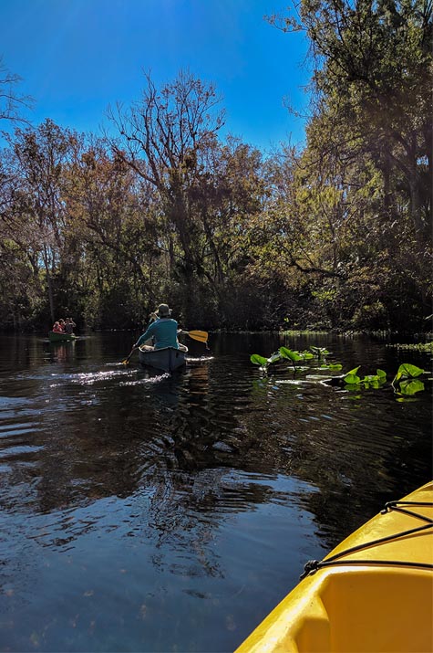 A very Potter Thanksgiving Wekiwa Springs kayaking