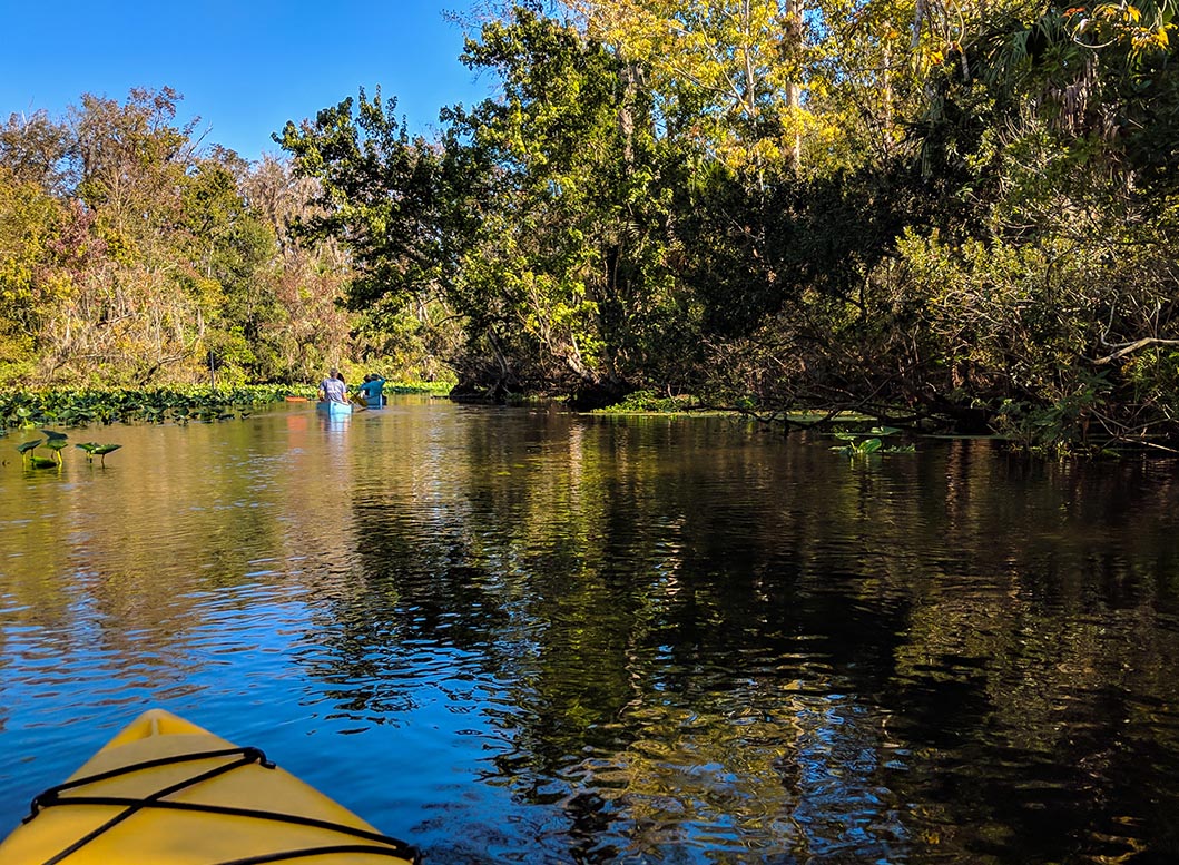 A very Potter Thanksgiving Wekiwa Springs Kayak view