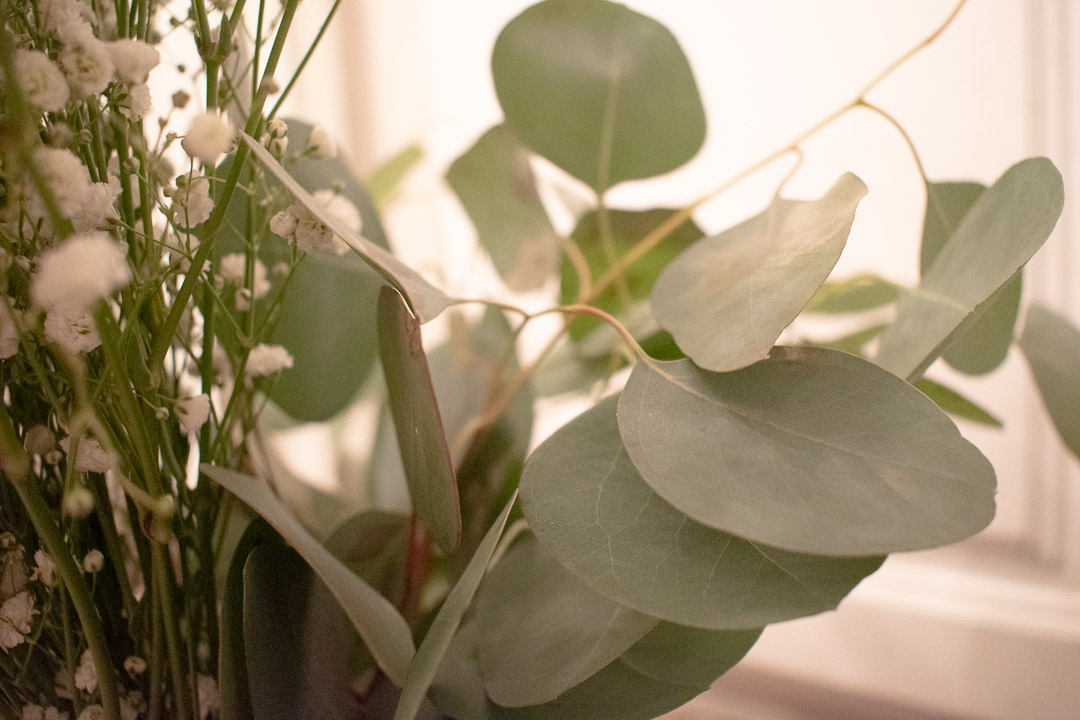 Spa Flowers: Eucalyptus and Baby's breath