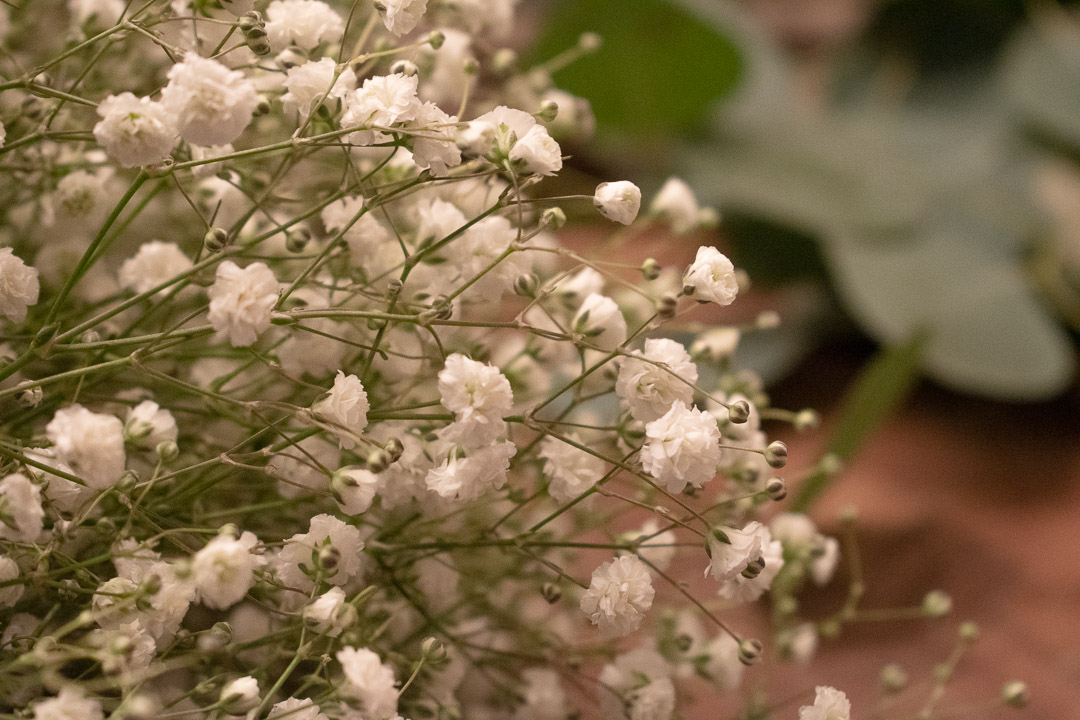 Spa Flowers: Baby's Breath