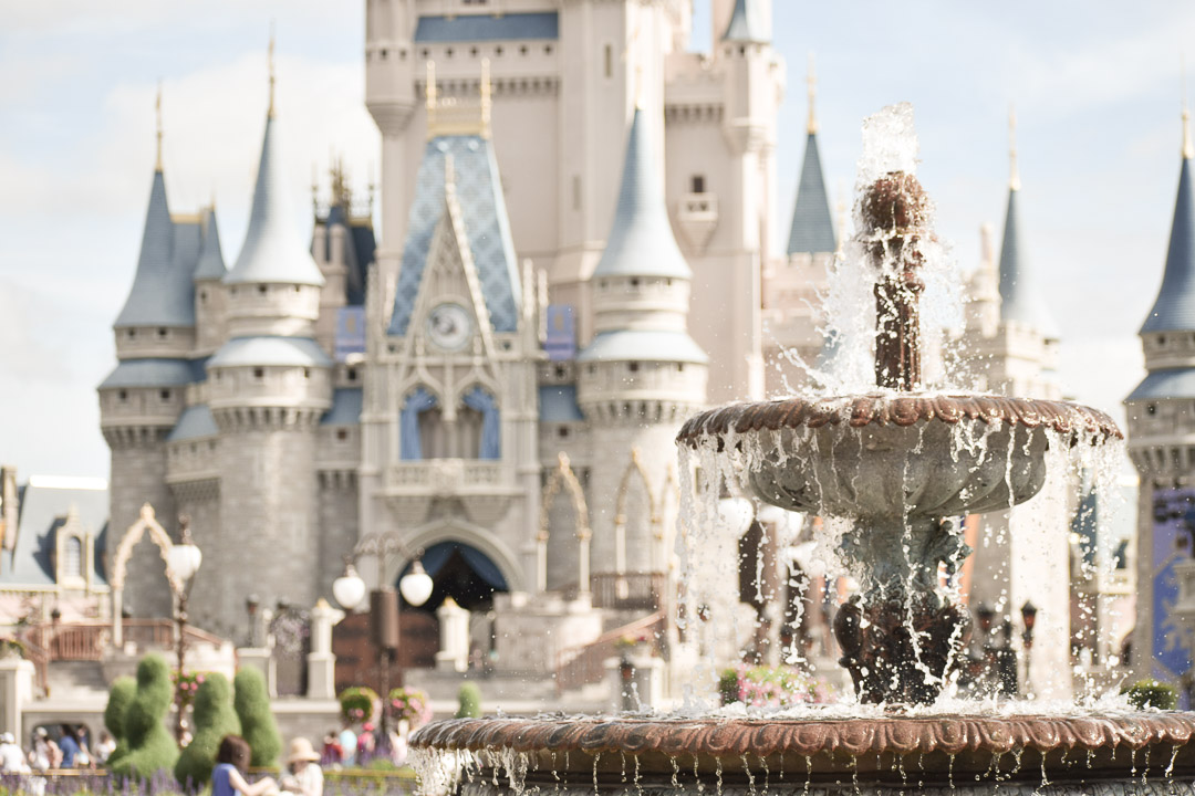 Magic Kingdom Trip_Castle and fountain