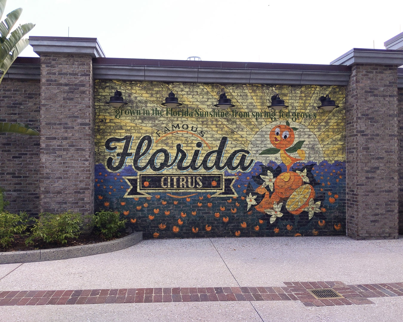 Disney Springs Reopening Citrus wall